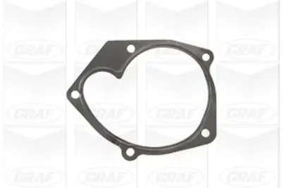 GRAF PA907 Devirdaim Mgn Iı 02 Scenıc Iı 03 Lgn Iı 05 Prımera 03 1.9 Dcı F9q 1741067JG1 21010AW300 7701474435