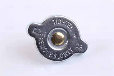 NISSENS 68709A Motor Radyatoru 214507F002