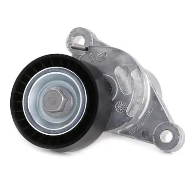 PSA 1611426580 Alternatör Gergi Rulmanı 1611426580 5751.J6 9801875280