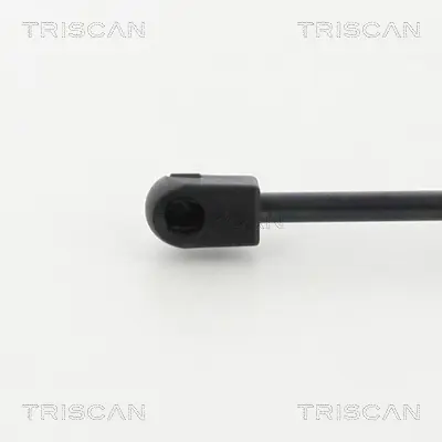 SWAPP 87348 Bagaj Kapak Amortısoru Latıtude 10> 904520042R