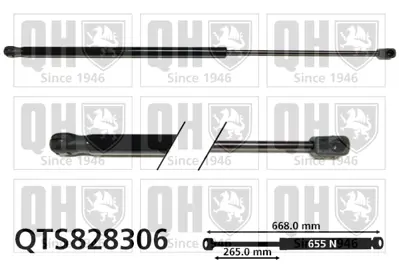 SWAPP 87318 Bagaj Amortısoru C4 Pıcasso 14> 9806879080 9819665780 9819665980 9806879180 9841636880 9841636680 9818552080 9818551880