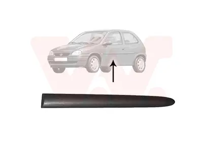 GM 24411239 Sol Arka Kapı Çıtası 24411239 5171016 5171133 90547381