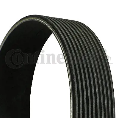 CONTINENTAL CONTITECH 10PK1136 V Kayısı Kanallı Volvo Fm12 98> 981337