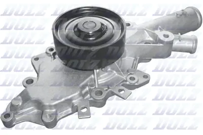DOLZ M266 Devirdaim Pompası (Om613) S-Class W220 99>02 6132000601