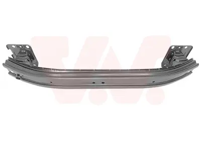 BSG 25-700-116 Tampon Demırı Arka 51810535