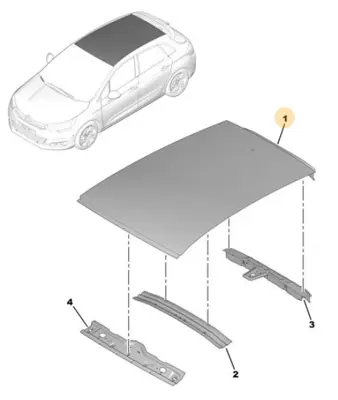 PSA 8301.GJ Tavan Sacı C4 Iı 8301.GJ