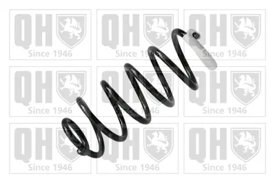 PSA 5102.FZ Arka Helezon Yayı  5102FZ