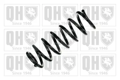 PSA 5102.E1 Arka Helezon Yay  5102E1