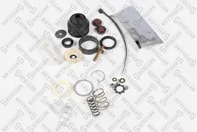 PSA 6938.23 Kör Tapa  282629 5001823258 5861332 696823 93161289