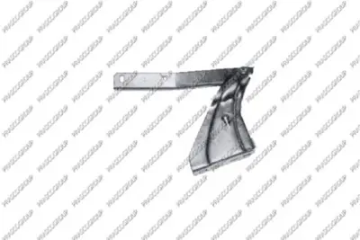 PSA 7913.29 Kaput Menteşesi  791329