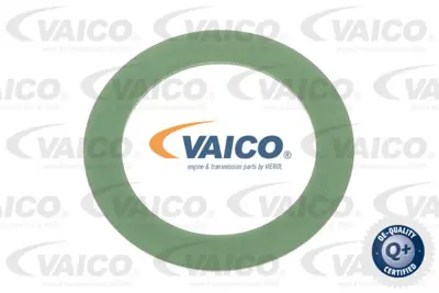 PSA 9025.52 Tapa  A6260900452