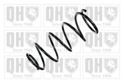 PSA 5002.Z5 Ön Yay  5002Z5