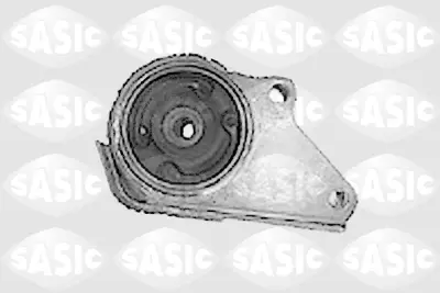 PSA 1843.61 Motor Kuağı  184361 4456819