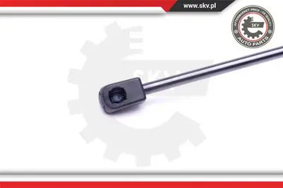 PSA 8731.F8 Bagaj Kapak Amortisörü  9638605280