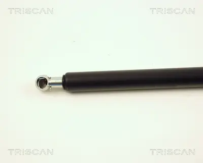 PSA 8731.G9 Bagaj Amortisörü  8731G9