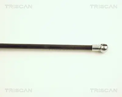 PSA 8731.G9 Bagaj Amortisörü  8731G9