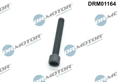 BSG 90-122-043 Enjektör Cıvatası N10581102