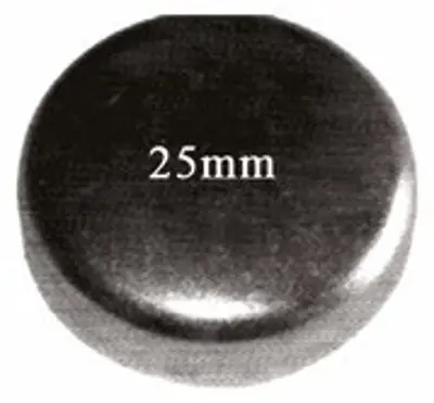 MTJ 1273 Motor Blok Su Tapası 25mm 14328901