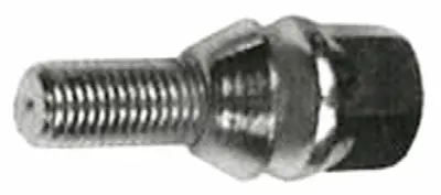 MTJ 4060 Bıjon Cıvatası Burclu R9 8200058101