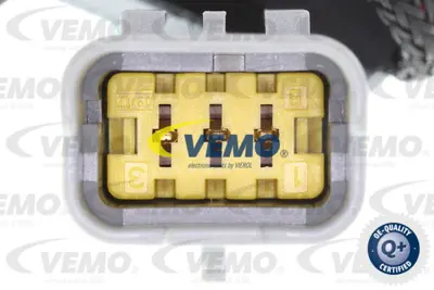 GM 3645449 Bsknumsensoru 225763 3645449 9816032180