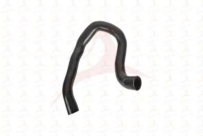 GM 13231618 Tr5495742 GM13231618 13231618 1302763