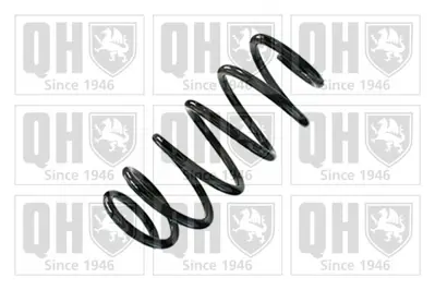 GM 13265251 Front Sprıng 13265251 312434