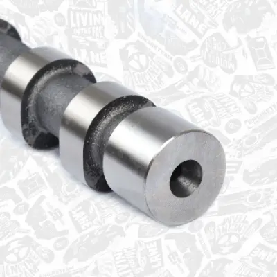 PSA 0801.GC Eksantrik Mili  0801.GC