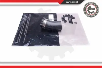 PSA 20946049 Tr5495742 20946049 1302209