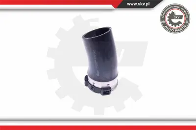 PSA 20946049 Tr5495742 20946049 1302209