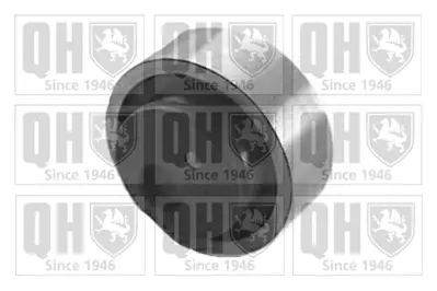 PSA 0829.54 Gergi Rulmanı 0829.54