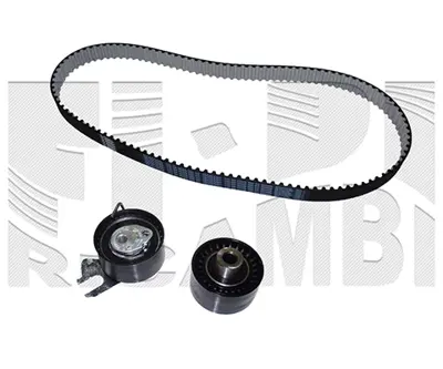 FORD 9M5Q 8A615 AA Eksantrık Kayıs Kıtı Dw10c 51660 516A4 816G3 816K5 816K8 829F7 829G1 829G6 83050 83051