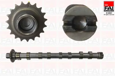 FORD DS7Q 6A270 BB Eksantrık Mılı Emme D7SQ6A273BA 2431073 1871343 9804424280 DS7Q6A270BB