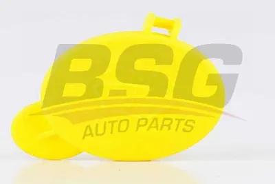 FORD 2S61 17632 AD Cam Yıkama Depo Kapagı 2S6117632AD 1488251