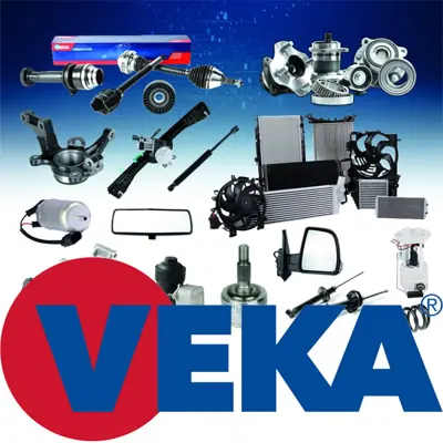 VEKA 60-19025 Helezon Yayı Arka Ford Focus 2002-2012 