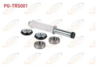 PUGA PG-TRS001 Torsıyon Tamır Takımı Rulmanlı Tempra - Tıpo 