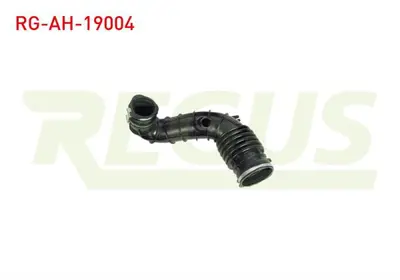 REGUS RG-AH-19004 Hava Fıltre Hortumu Ford Transıt (V347) 2.2 Tdcı 2006-2014 