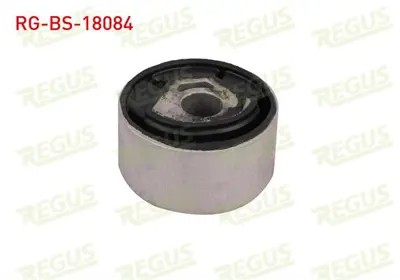 REGUS RG-BS-18084 Motor Takozu Burcu Arka Fıat Ducato (250 290) 2006- 
