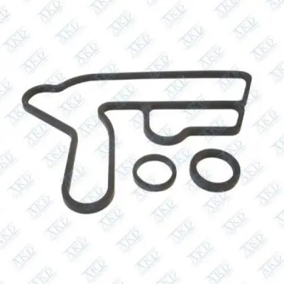 AKD 650217 Yag Sogutucu Orıng Takımı A2.0dt Insıgnıa Astra J Zafıra C (650184 Icın)