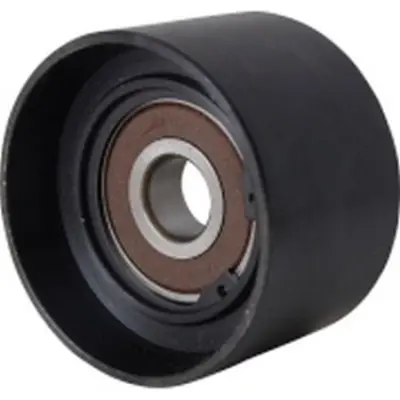 DAYCO APV2594 V Kayıs Gergi Rulmanı 98FF19A216BD