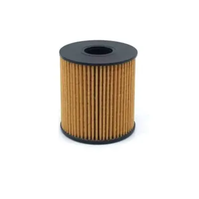 FUJI FEO11303 Yag Filitresi Berlıngo Iıı Partner Tepe P207 P307 Ec5 P308 C3 C4 Tu5jp4 (1,6 16v) / C5 Ds3 Ds4 P5008