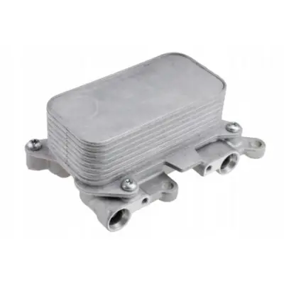 GKL 295272 Zamak Ayna Sağ Yenı Caddy Yenı Kadıaq Karoq 
