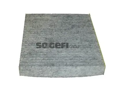 PURFLUX AHC262 Polen Filitresi Psa 