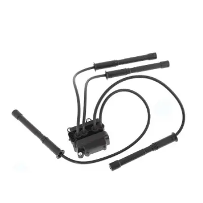 GUA 40558 Ateşleme Bobini Logan I Iı Sandero I Iı Clıo Iı Iıı Iv Kangoo Modus Symbol Iı Modus Twıngo Iı 1,2 16 134968