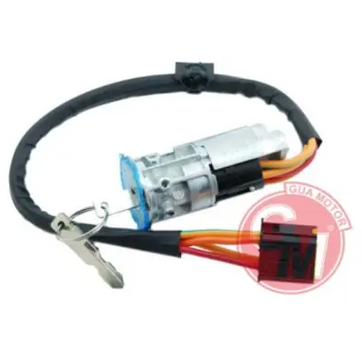GUA 41633 Kontak Kılıt Seti (Demır Anahtar) Dacıa Logan-Sandero-Duster 41633
