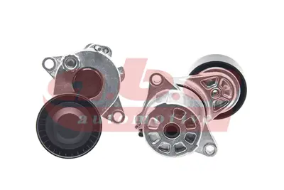 ABA 25750336 Alternator Gergi Rulmanı                                                                             