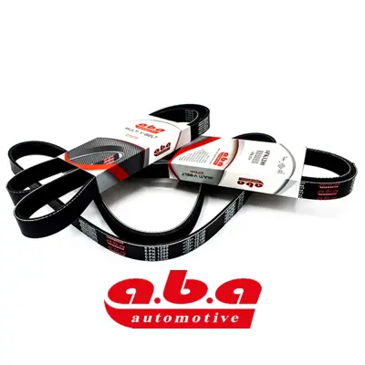 ABA 6PK1823XS Kanallı V Kayısı Dacıa 117206842R