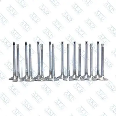 AKD ST96182805-96182806 Subap Takımı Rezzo 1,6 16v (In 8 / Ex 8) 