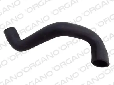 UCPA 13H111339 Radyator Alt Hortumu Focus Iıı C Max 1,6 16v 11 />