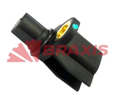 BRAXIS AH0641 Arka Boru Arası Fren Hortumu Fluence (L30) 10> 463150252R