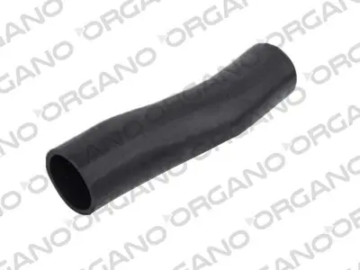 UCPA 10H12519 Radyator Alt Hortumu Mercedes 3031 A6555011282, 6555011282, 6205013882, 6555014982, A6205013882, A6205013682, 6205013682